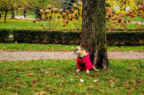Réduire votre tour de taille grâce à une alimentation saine : Guide pratique